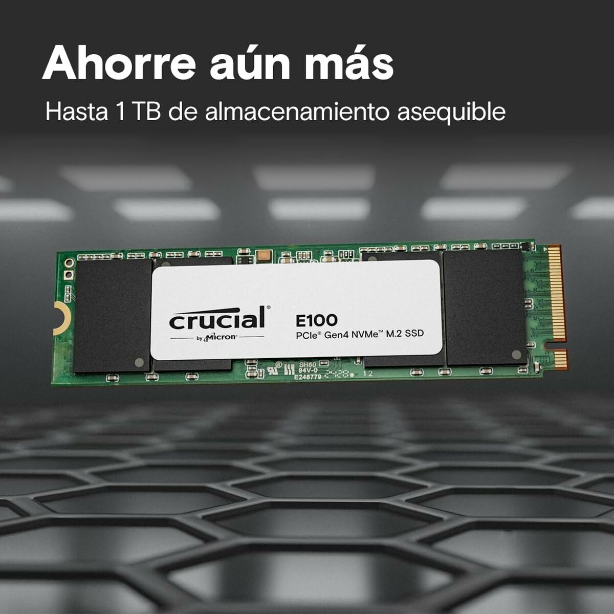 V3HEFC398E6FD5054FE0205BE5C458D5EEAR5556867P2