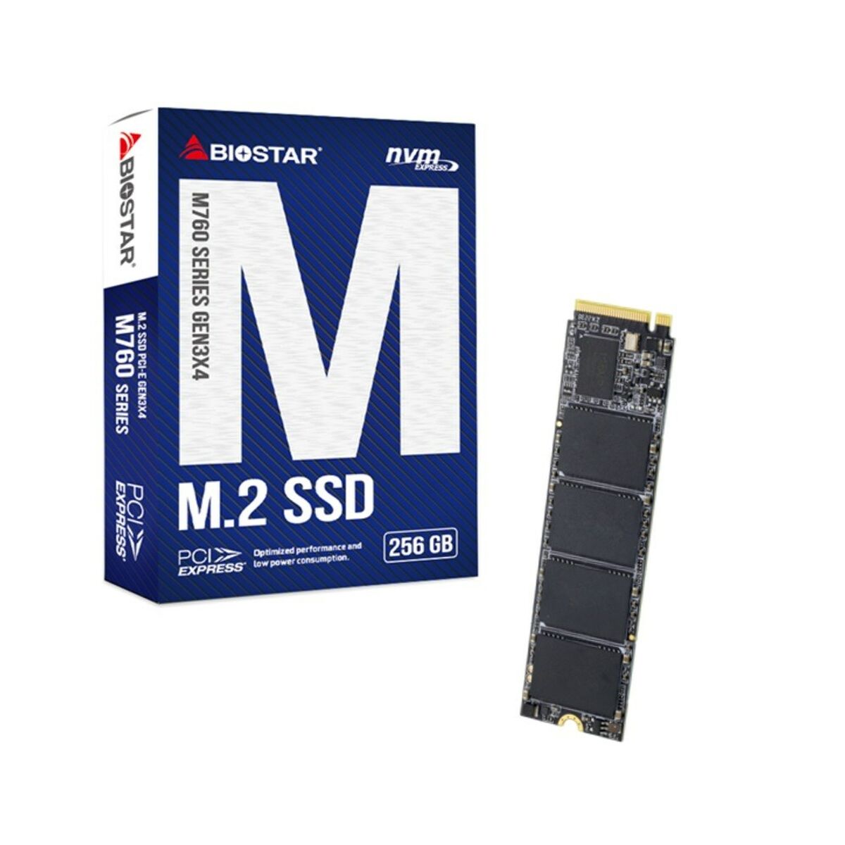 Festplatte Biostar M760 256 GB SSD