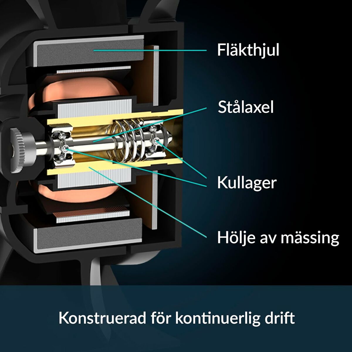 V2H69B71876F2B88639D100801C4224BF0ER7239797P3