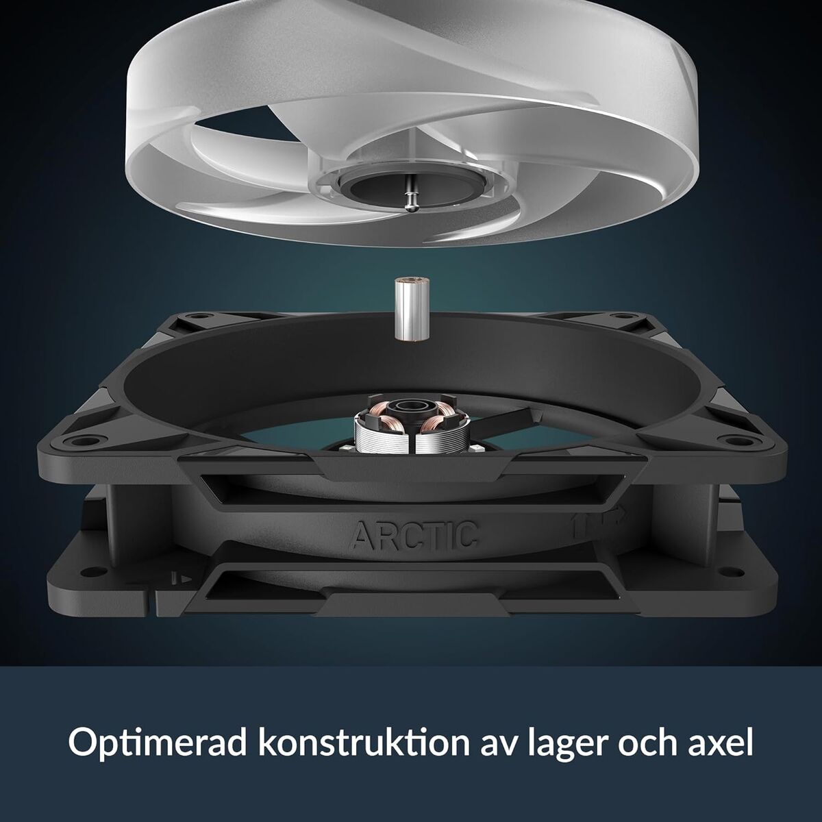 V1H83DD21B356BE1DF9236279DBE1E36958RP7