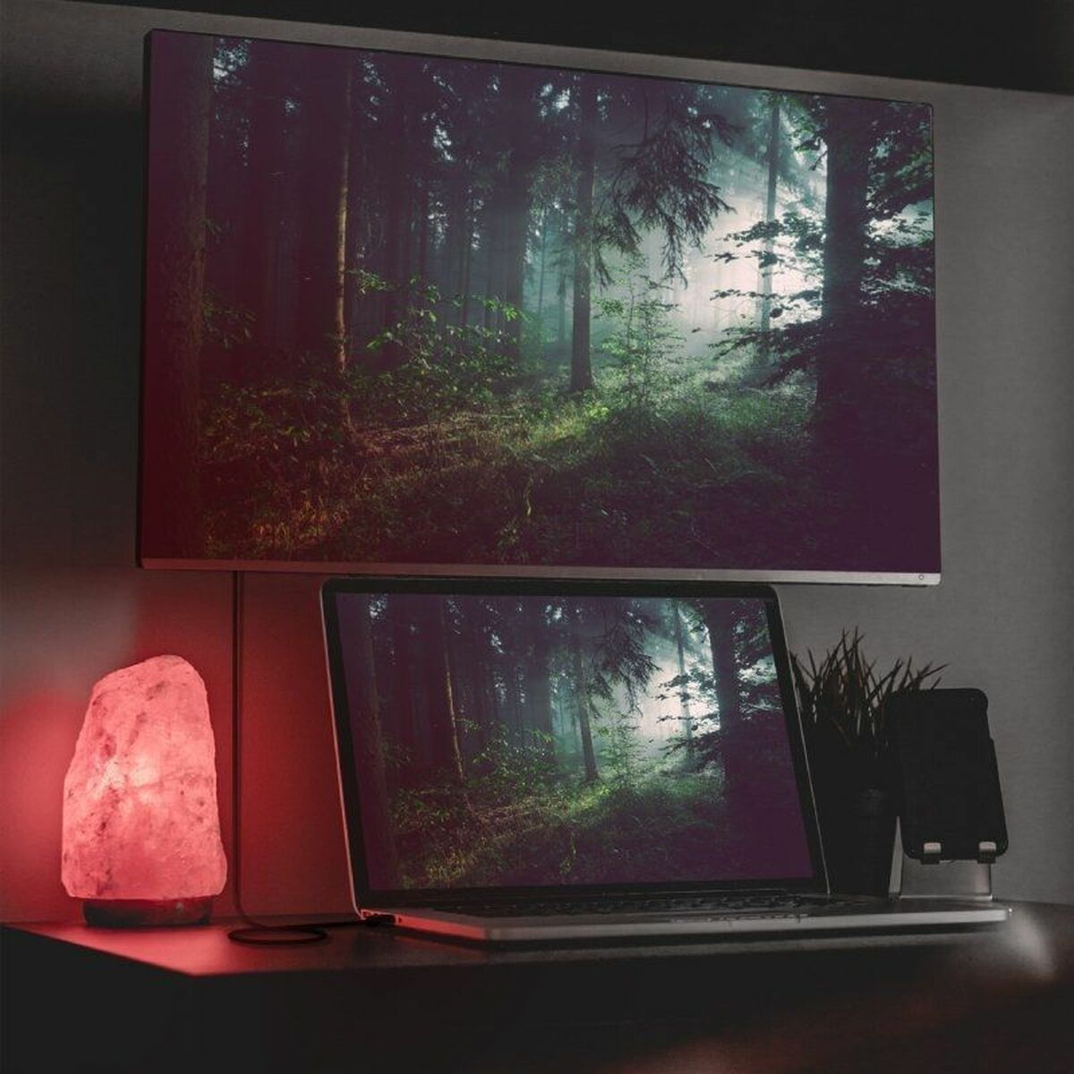 V3HC4D80F85540C619410460591188B4486R4453212P4