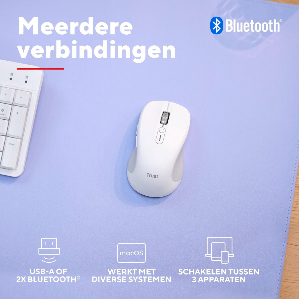 V2HFDC6026AB7B831C1642B9EBB55BB666DR7357450P8