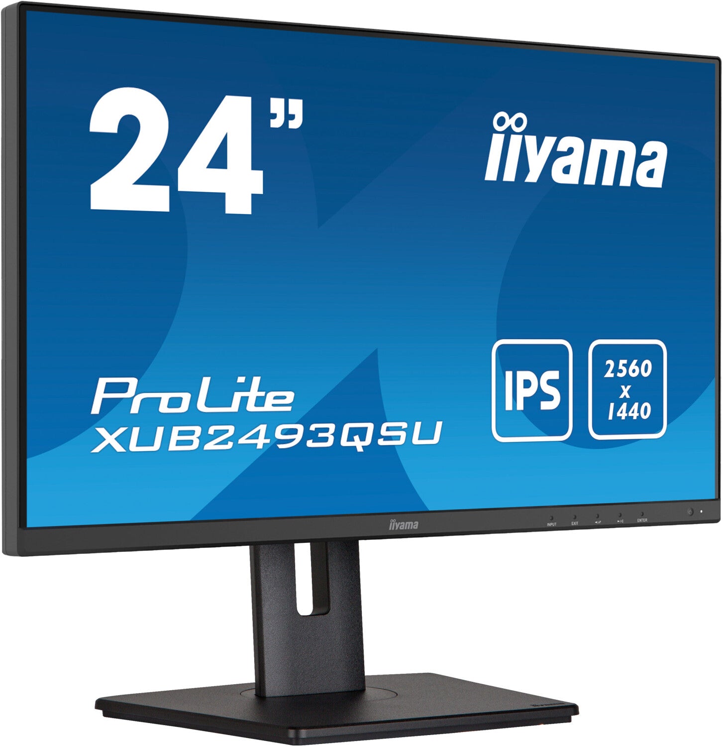 WQHD Monitor Iiyama ProLite XUB2493QSU-B5 23.8" LED IPS Flicker free