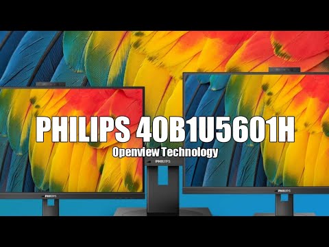 WQHD Monitor mit Webcam Philips 40B1U5601H 40" 100Hz 4ms IPS HDR10 LCD Flicker free