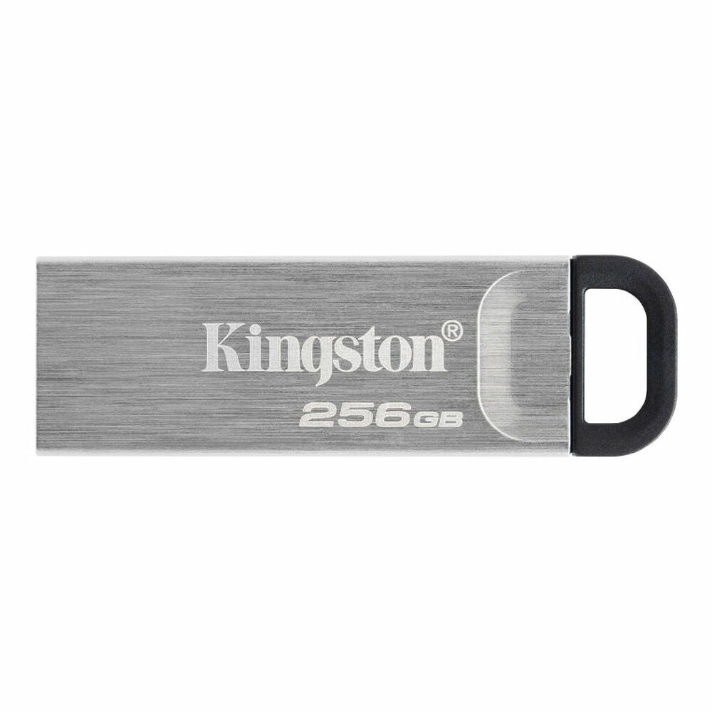 USB Pendrive Kingston DTKN/256GB Black 256 GB