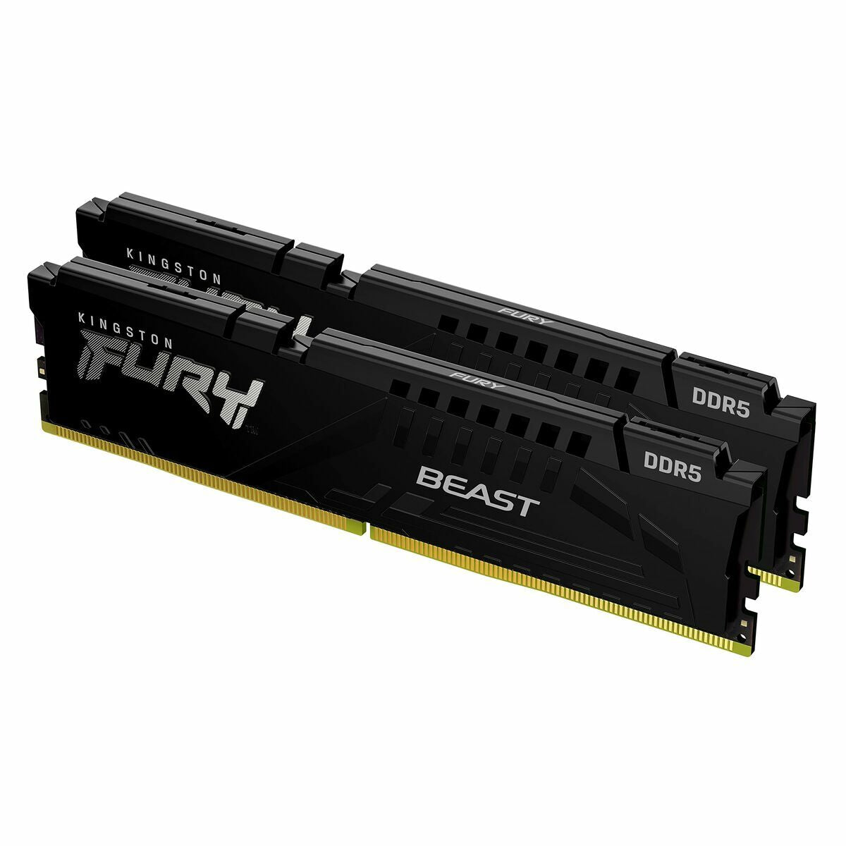 RAM Memory Kingston Beast 32GB