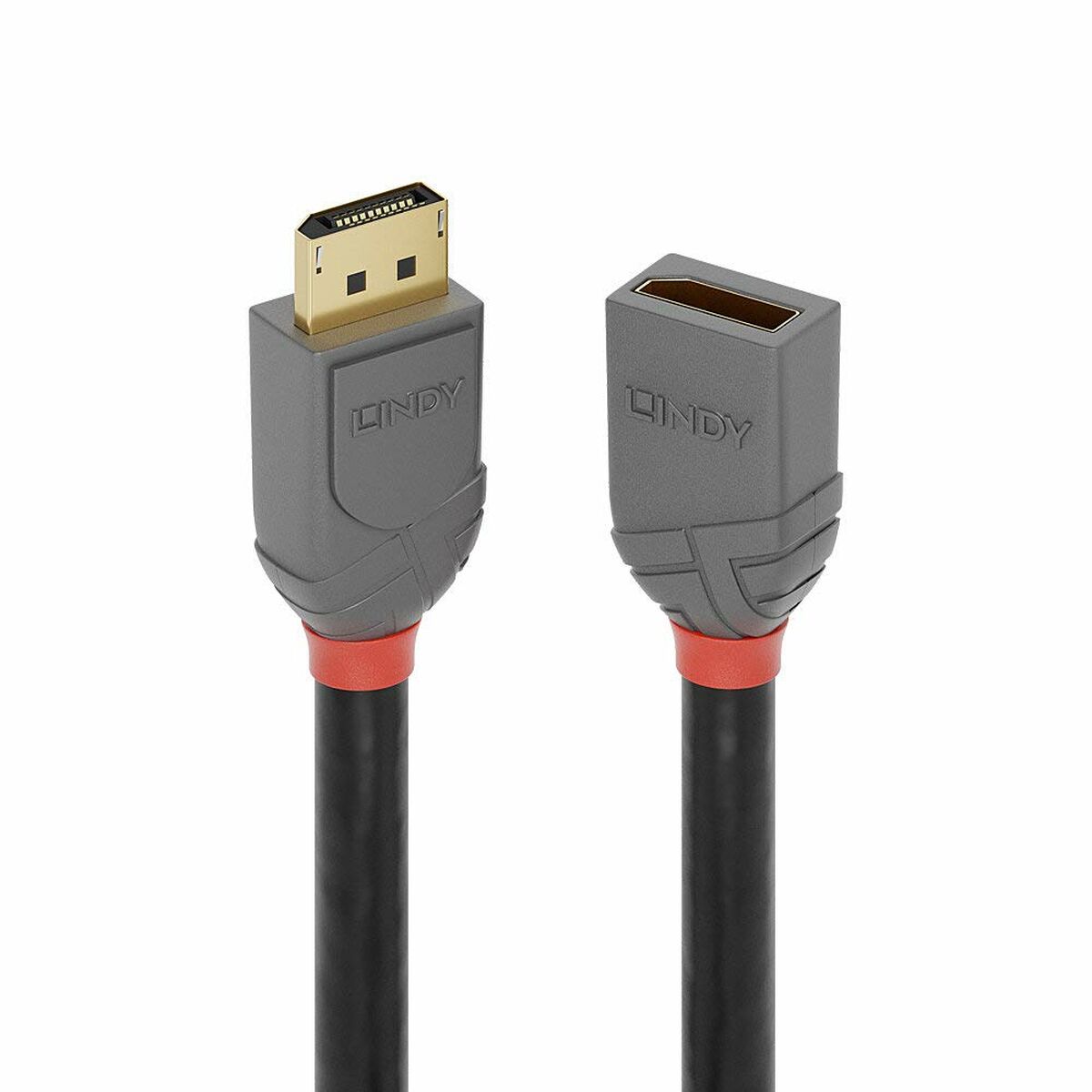 DisplayPort cable LINDY 36498 3 m