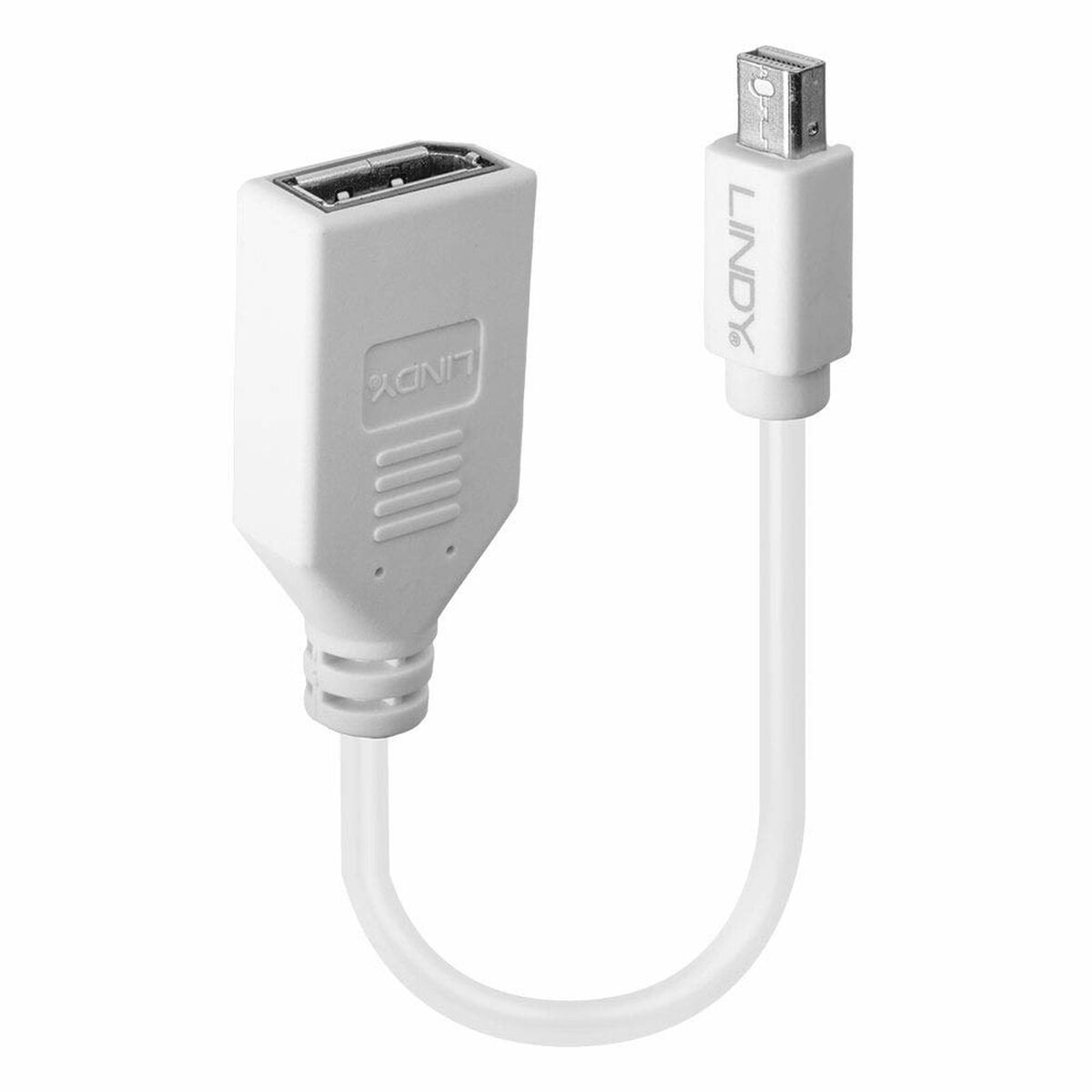 Adapter Mini DisplayPort to DisplayPort LINDY 41021 White