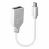 Adapter Mini DisplayPort an DisplayPort LINDY 41021 Weiß