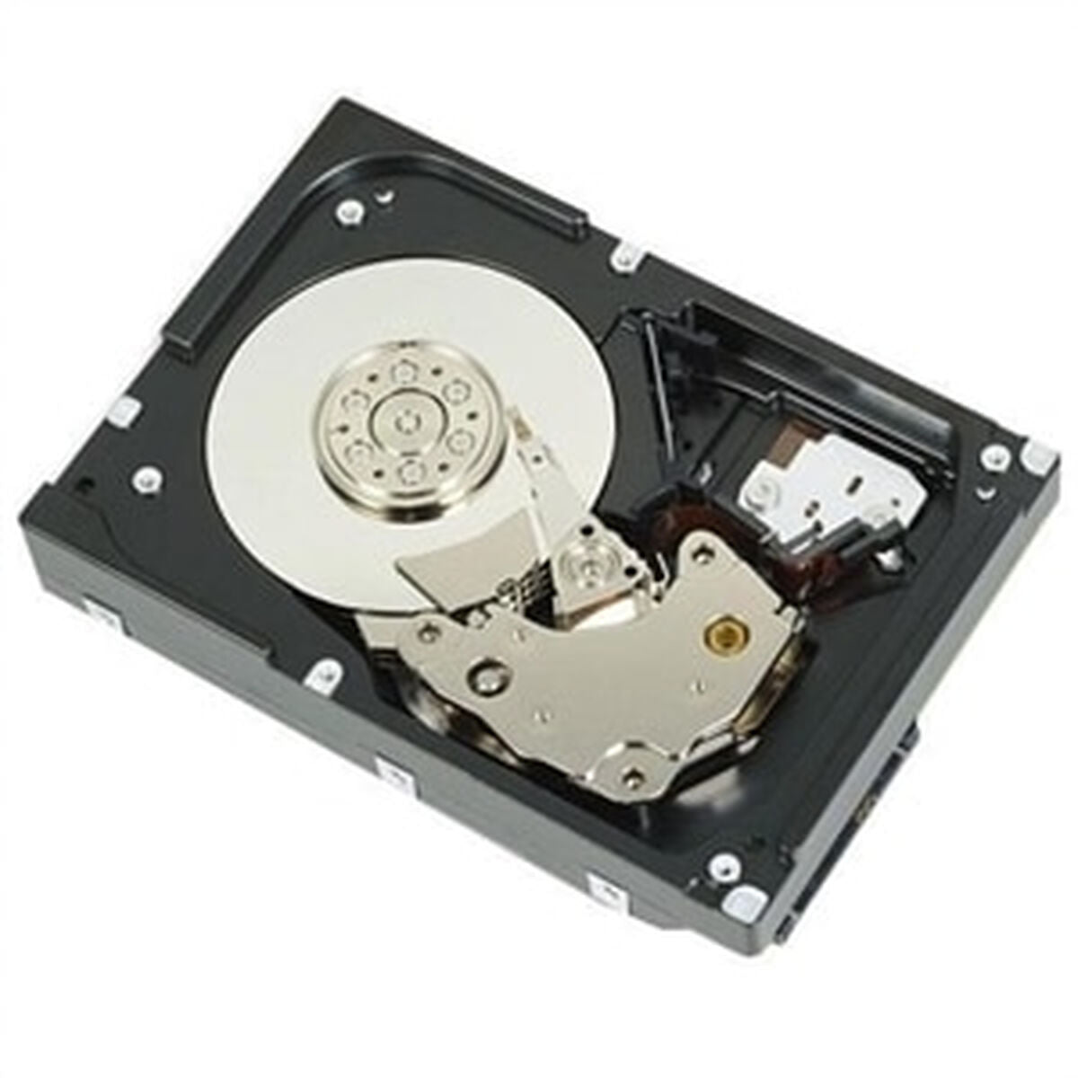 Festplatte Dell 400-AUPW 3,5" 7200 rpm 1 TB