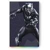 External USB Hard Drive Seagate MARVEL BLACK PANTHER Special Edition 2TB (STLX2000401)